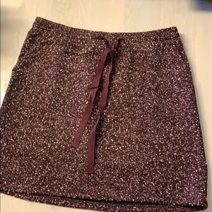 NWT Loft Skirt